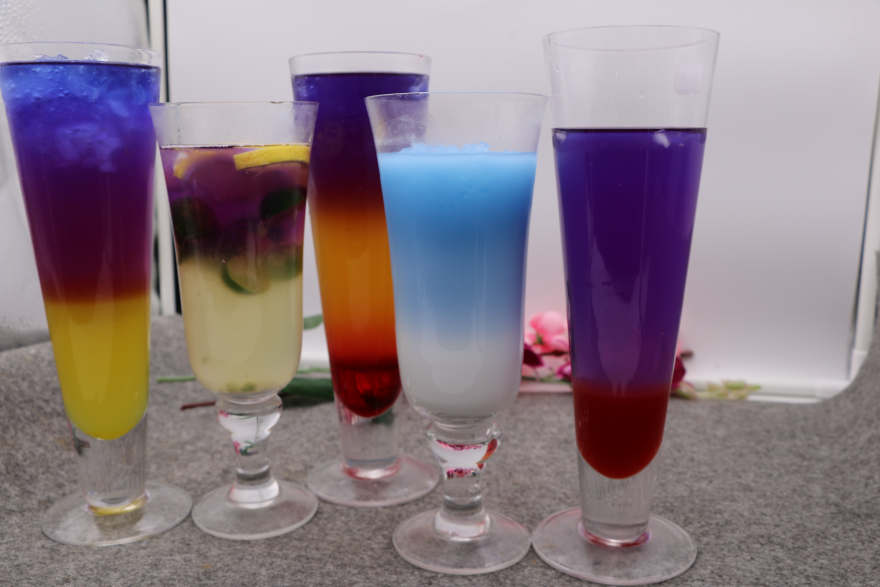 武汉泰国蝶豆花培训